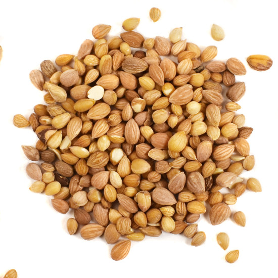 ΜΑΧΛΕΠΙ ΟΛΟΚΛΗΡΟ (Mahlab Seeds) ΜΑΧΛΕΠΙ ΟΛΟΚΛΗΡΟ (Mahlab Seeds)