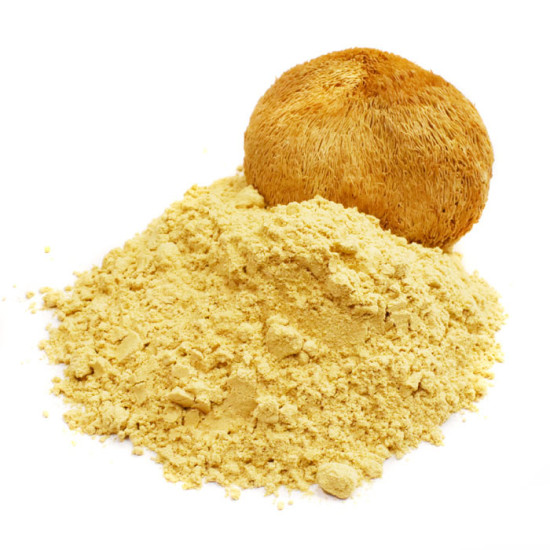 LION'S MANE (Ερίκιο το Αγκαθωτό, αρνάκι, hericium erinaceus) LION'S MANE (Ερίκιο το Αγκαθωτό, αρνάκι, hericium erinaceus)