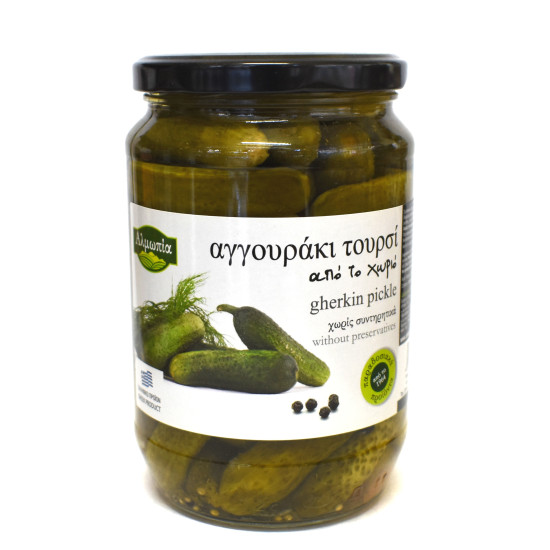 ΑΓΓΟΥΡΑΚΙ ΤΟΥΡΣΙ
