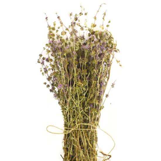 ΦΛΙΣΚΟΥΝΙ (Mentha Pulegium) ΦΛΙΣΚΟΥΝΙ (Mentha Pulegium)