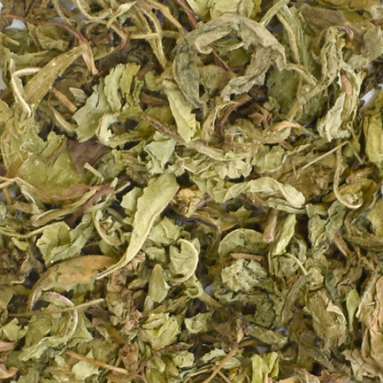 ΤΑΡΑΞΑΚΟ (Taraxacum officinale) ΤΑΡΑΞΑΚΟ (Taraxacum officinale)